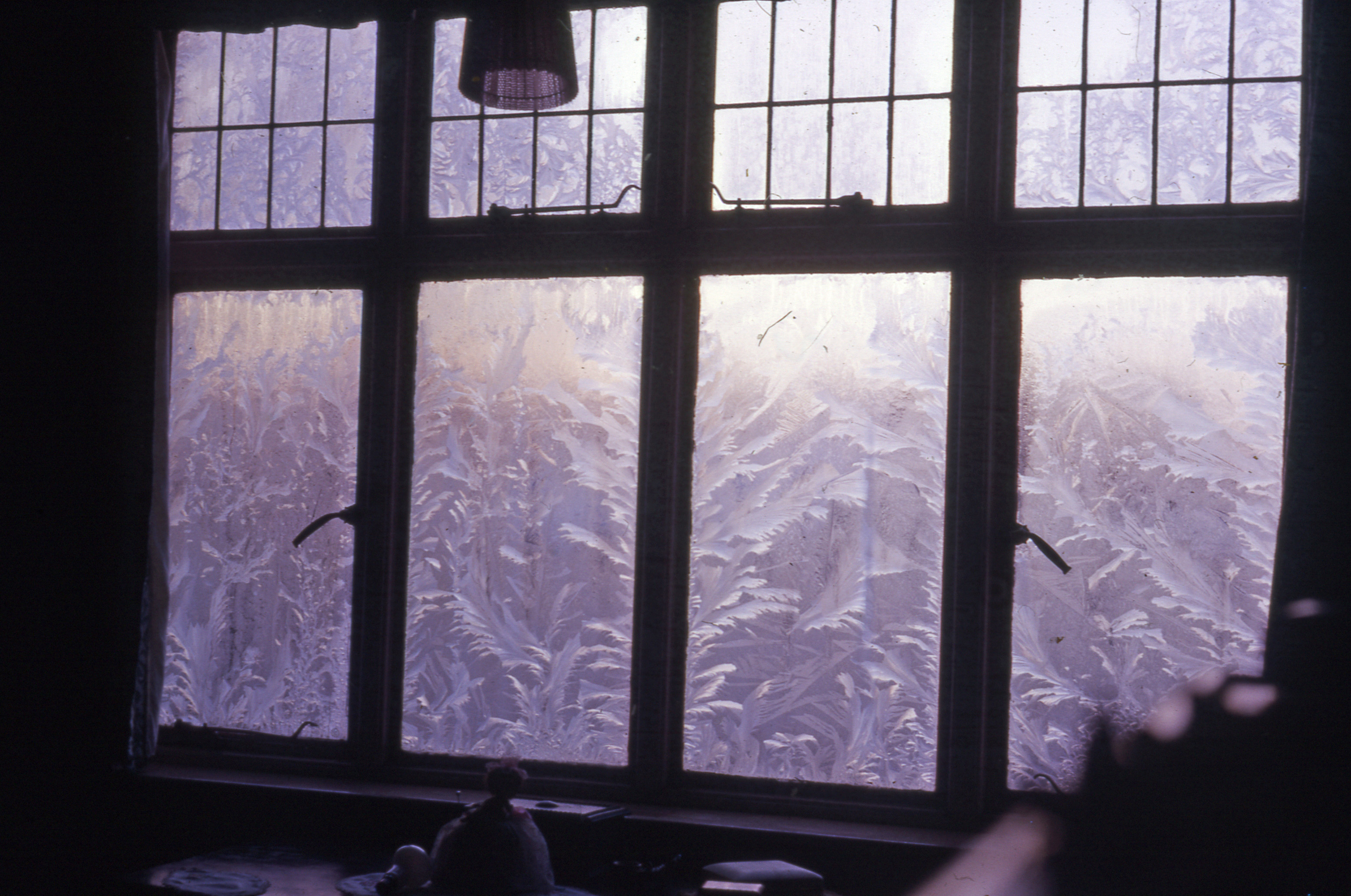 Frosty window
